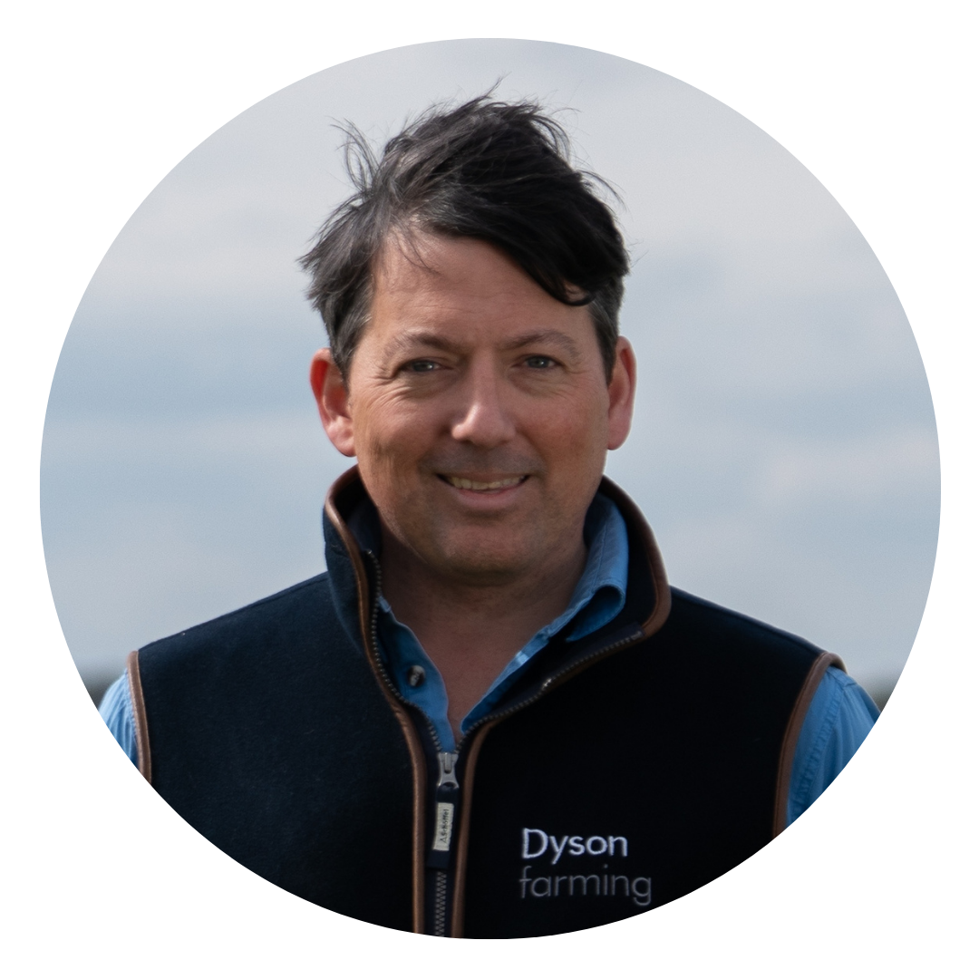 Dyson Farming Getting it Right with OSR  image