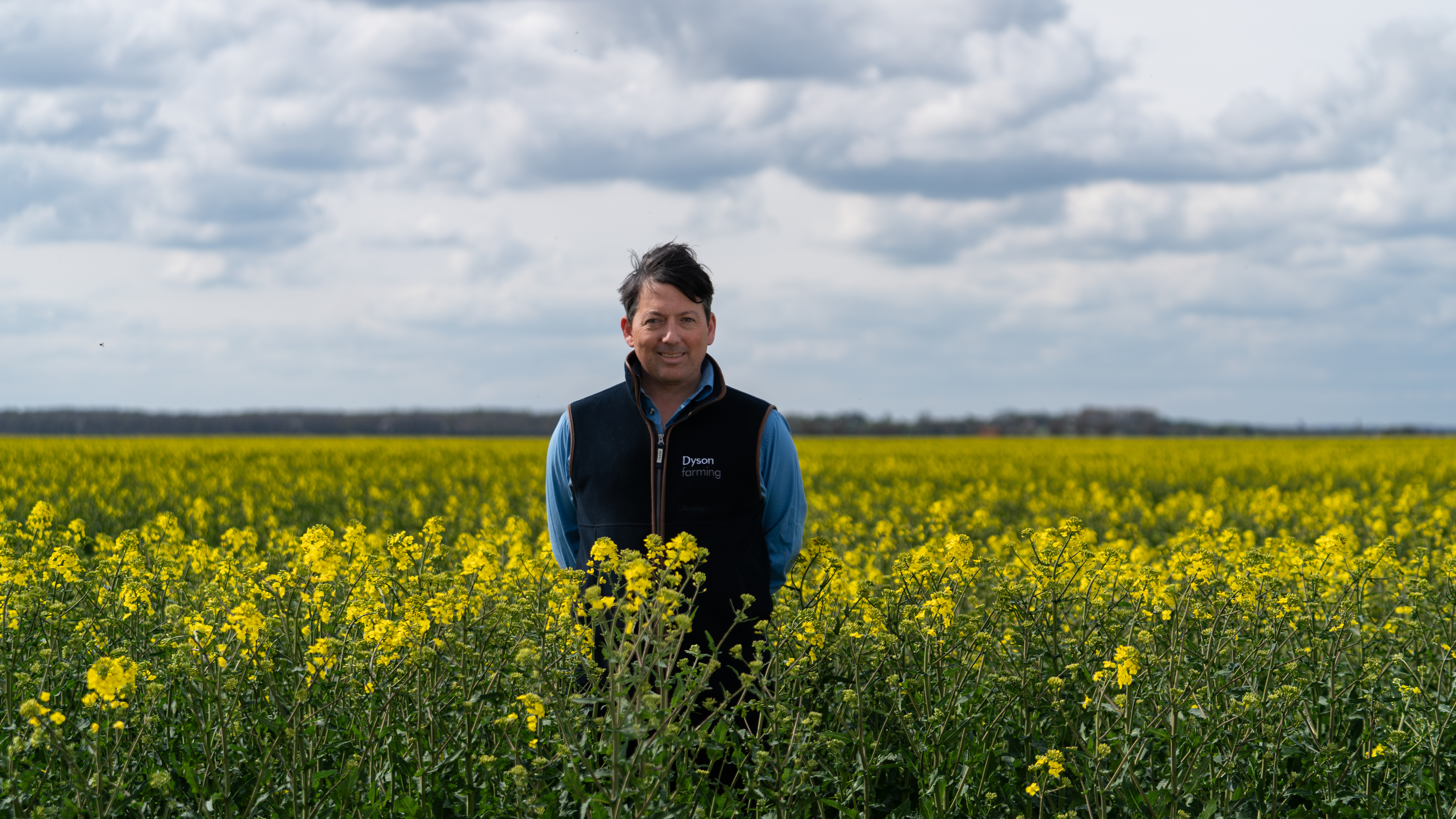Dyson Farming Getting it Right with OSR  image