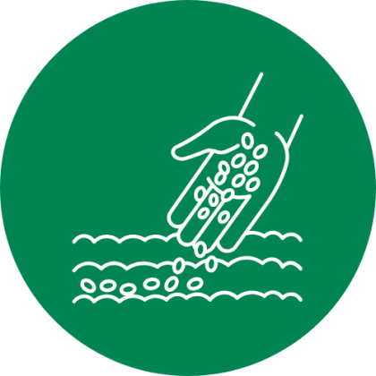 Sowing Date icon