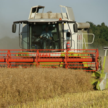 Pulses, Oats & Linseed
