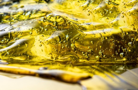 LG Adapt leading the field for oil content in 2025 image