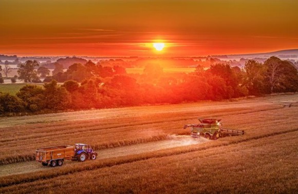 Early Optimism for OSR Yields image