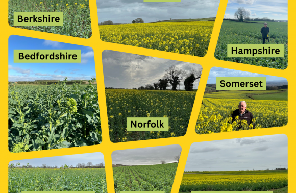 OSR Update March 2024 image