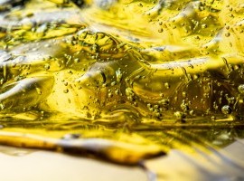 LG Adapt leading the field for oil content in 2025 image