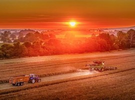 Early Optimism for OSR Yields image