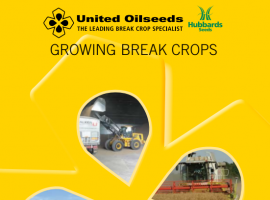 Growing Break Crops Autumn 2022 Issue image