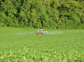 Glyphosate Ban Response image