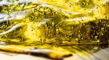 LG Adapt leading the field for oil content in 2025