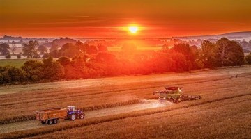 Early Optimism for OSR Yields