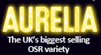 See why a United Oilseeds grower chose Aurelia OSR 