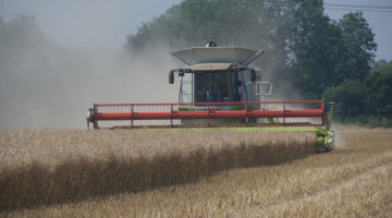 OSR Harvest Pool Delivers £645.38 Per tonne