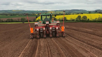 11 Maize varieties drilled for Hubbards Seeds Trials