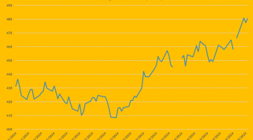 OSR Prices Continue to Rally