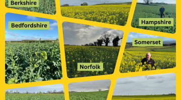 OSR Update March 2024