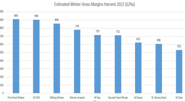2022 Spring & Winter Gross Margins