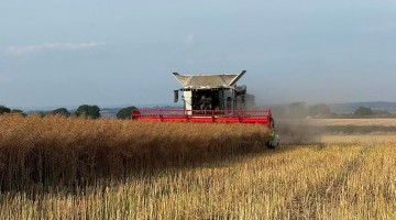 Record OSR Yields Predicted