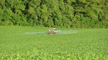 Glyphosate Ban Response