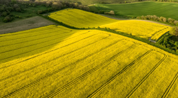 UOM/AHDB Agronomy Seminar Presentations