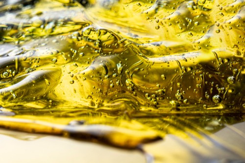 LG Adapt leading the field for oil content in 2025
