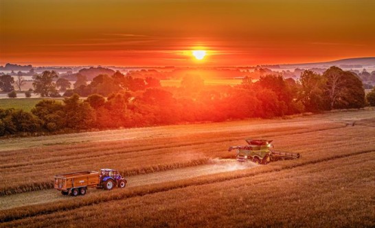 Early Optimism for OSR Yields