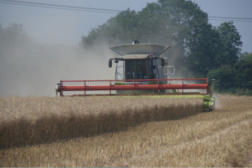 OSR Harvest Pool Delivers £645.38 Per tonne