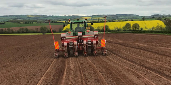 11 Maize varieties drilled for Hubbards Seeds Trials