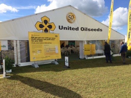 Join us at Cereals 2024