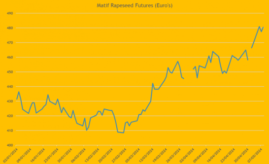 OSR Prices Continue to Rally