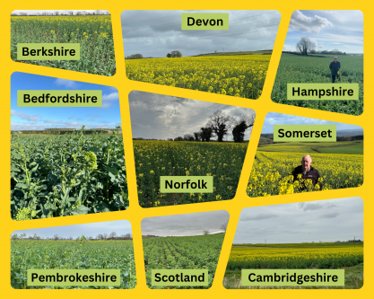 OSR Update March 2024