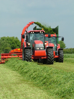 BLOG: By Barnaby Patchett  - Using up your winter feed stocks? There is an alternative…