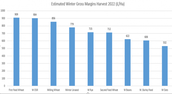 2022 Spring & Winter Gross Margins