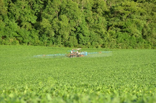 Glyphosate Ban Response